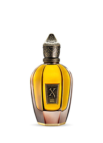 Aqua Regia 100 ml Unisex Parfüm