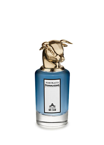 Blazing Mister Sam EDP 75 ML Perfume