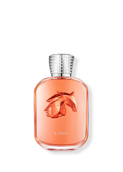 Carios EDP 100ml Parfüm